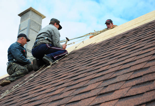 Residential Roof Replacement in Orono, MN