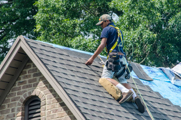 Roof Installation Near Me in Orono, MN